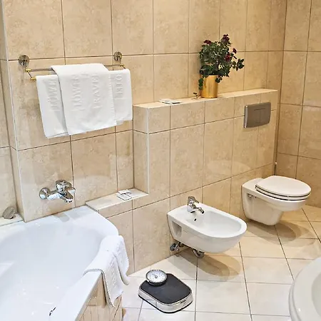 Otel Loewen 3*
